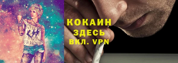 МДПВ Дмитриев