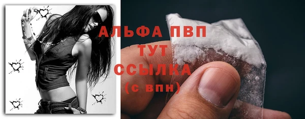 дмт Гусев
