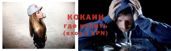дмт Гусев