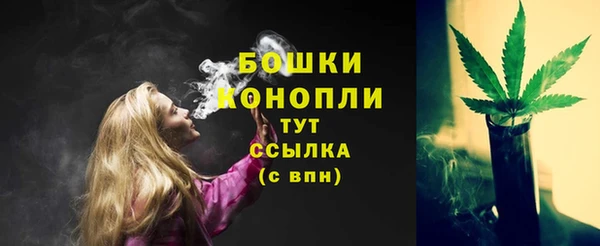 дмт Гусев
