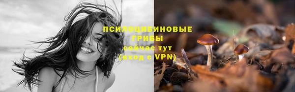 apvp Гусь-Хрустальный
