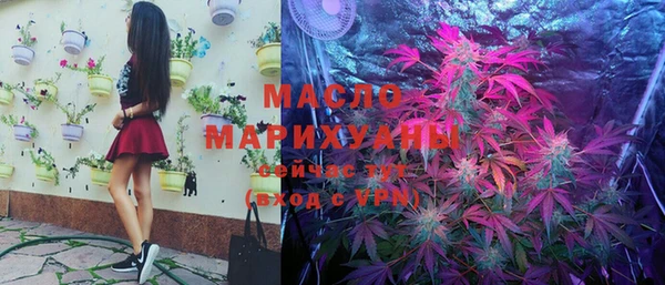 МДПВ Дмитриев