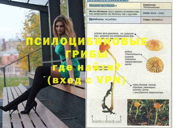 соль ск Гусиноозёрск