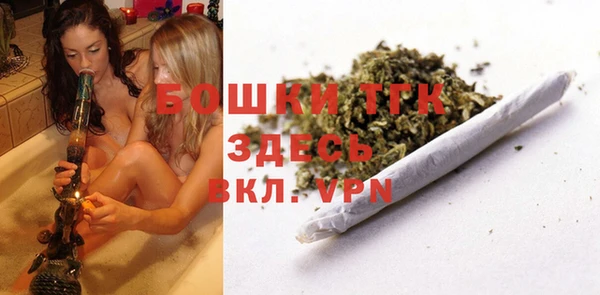 МДПВ Дмитриев