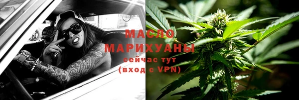 МДПВ Дмитриев