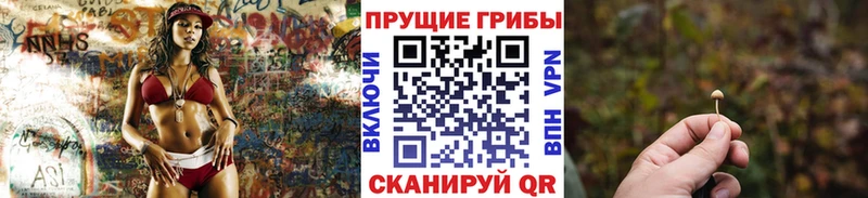 Псилоцибиновые грибы ЛСД  Купить где  Жуковка 